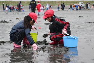 砂浜を掘り起こし