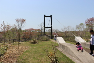 夢　さくら橋