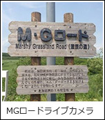 MGロードライブカメラ