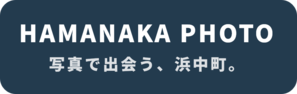 ポータルサイトを見る