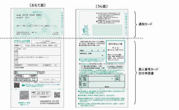 番号 個人 行政手続における特定の個人を識別するための番号の利用等に関する法律